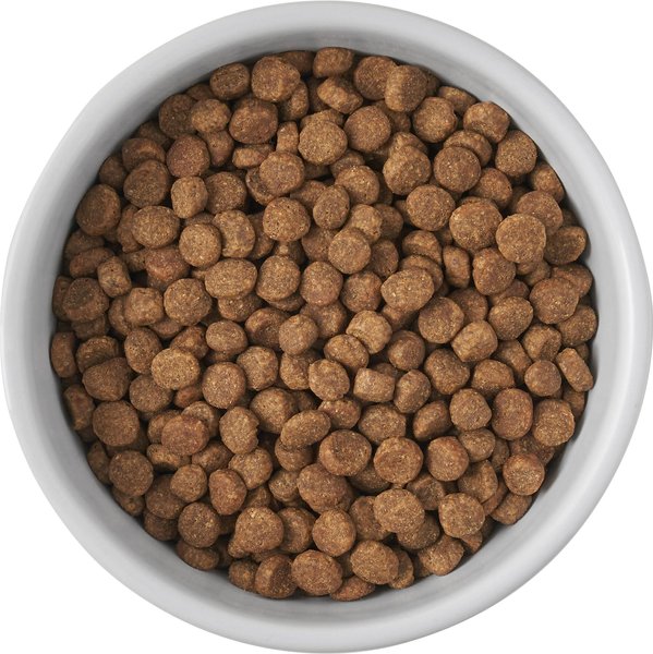 Show full view: Frisco Cat Print Non-skid Elevated Ceramic Cat Bowl, Tall, 1.0 Cup slide 4 of 8