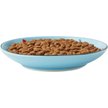 Show in main carousel: Frisco New York Non-skid Ceramic Cat Dish, 0.5 Cup slide 6 of 9