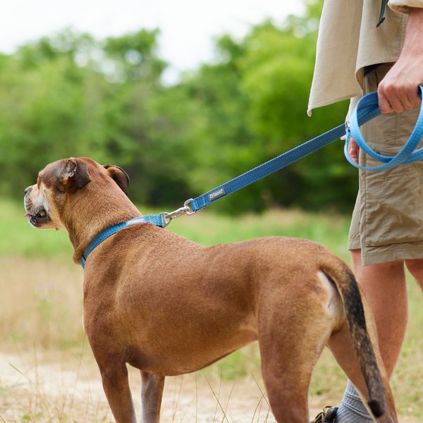 Show full view: Frisco Outdoor Heathered Nylon Dog Leash, River Blue, Large - Length: 6-ft, Width: 1-in slide 3 of 7