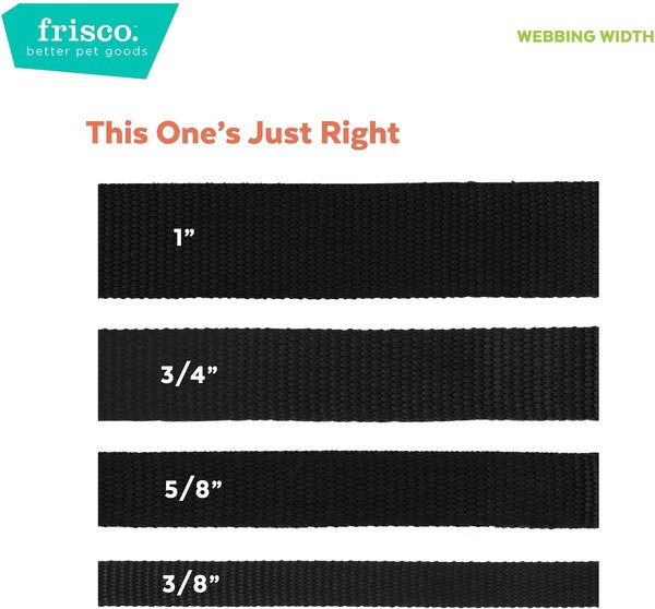 Show full view: Frisco Outdoor Woven Jacquard Nylon Dog Collar, Large, Neck: 18 -26-in, Width: 1-in, River Blue slide 5 of 8