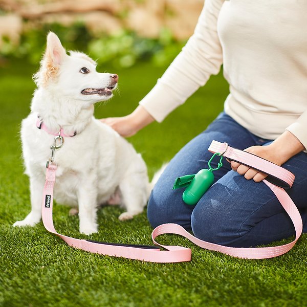 Show full view: Frisco Traffic Leash with Padded Handles & Poop Bag Dispenser, Width: 1-in, Length: 4-ft, Pink slide 4 of 8