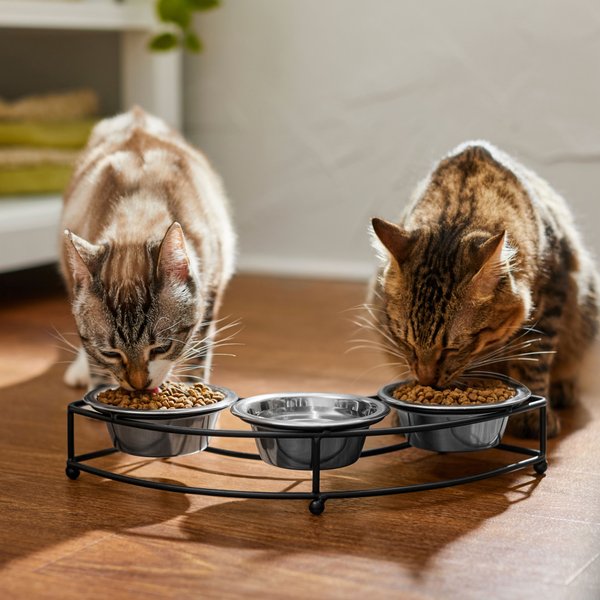 Show full view: Frisco Multi Pet Feeding 3-Bowls Curved Stainless Steel Dog & Cat Bowl, 1 Cup slide 4 of 9