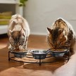 Show in main carousel: Frisco Multi Pet Feeding 3-Bowls Curved Stainless Steel Dog & Cat Bowl, 1 Cup slide 4 of 9