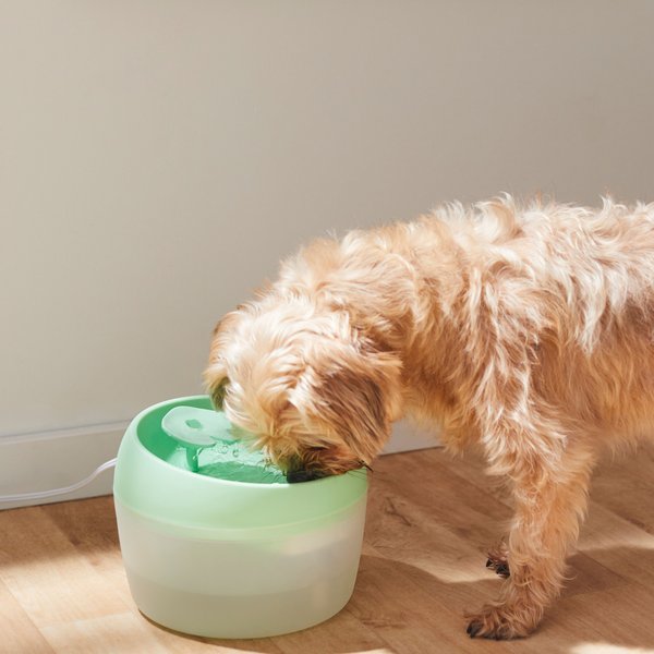 Show full view: Frisco Whimsical Leaf  Round Dog & Cat Fountain, Mint Green, 50-oz slide 5 of 7