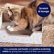 Show in main carousel: Frisco Step-In Cat Scratcher Toy with Catnip, Blue Daisies slide 3 of 5