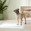 Show in main carousel: Frisco Printed Dog Training & Potty Pads, 22 x 23-in, Unscented, 150 count, Geometric Print slide 7 of 10