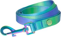 Frisco Green Ombre Style Dog Leash, Large - Length: 6-ft, Width: 1-in