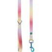 Show in main carousel: Frisco Pink Ombre Style Dog Leash, Small - Length: 6-ft, Width: 5/8-in slide 2 of 6