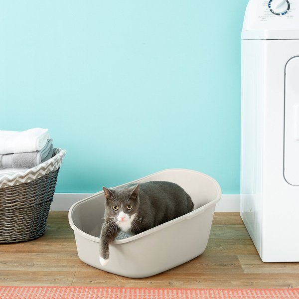 Frisco High-Back Cat Litter Box, Gray, Extra Large 23-in slide 1 of 4
