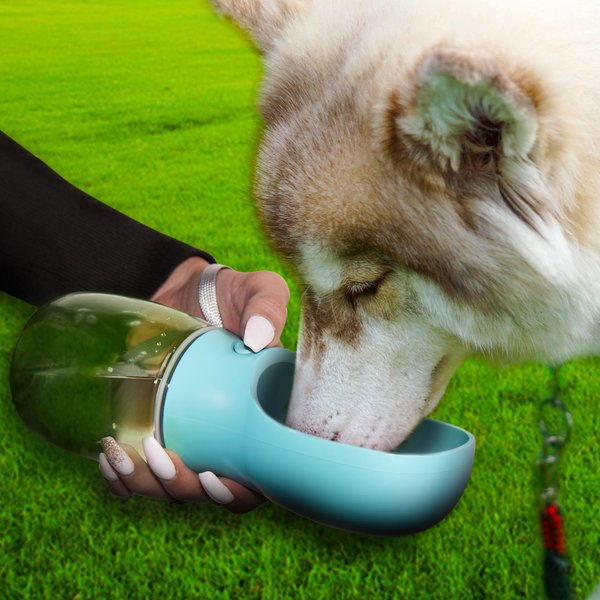 Show full view: Wahl Dispensing Dog Water Bottle, 300-mL slide 6 of 6