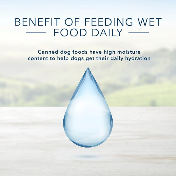 Show full view: Blue Buffalo Delights Natural Filet Mignon Flavor in Gravy Wet Dog Food, 99-g cup, case of 12 slide 5 of 8