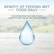 Show in main carousel: Blue Buffalo Delights Natural Filet Mignon Flavor in Gravy Wet Dog Food, 99-g cup, case of 12 slide 5 of 8