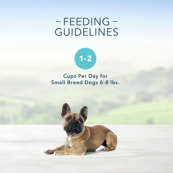Show full view: Blue Buffalo Delights Natural Filet Mignon in Gravy & NY Strip in Gravy Wet Dog Food, 99-g cup, case of 12 slide 6 of 8