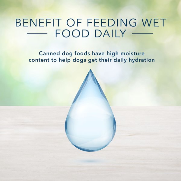 Show full view: Blue Buffalo Homestyle Recipe Adult Natural Beef Wet Dog Food, 354-g can, case of 12 slide 3 of 8