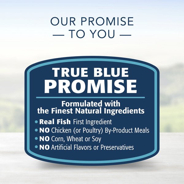 Show full view: Blue Buffalo Homestyle Recipe Adult Natural Beef Wet Dog Food, 354-g can, case of 12 slide 6 of 8