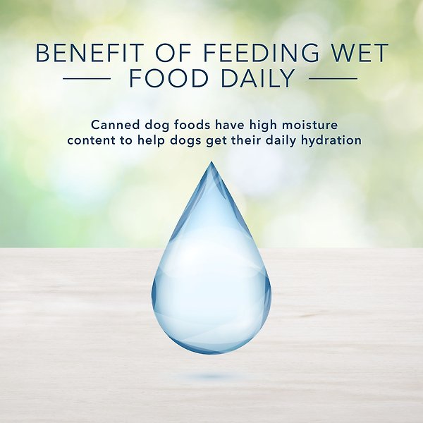 Show full view: Blue Buffalo Homestyle Recipe Adult Natural Fish & Sweet Potato Wet Dog Food, 354-g can, case of 12 slide 3 of 7