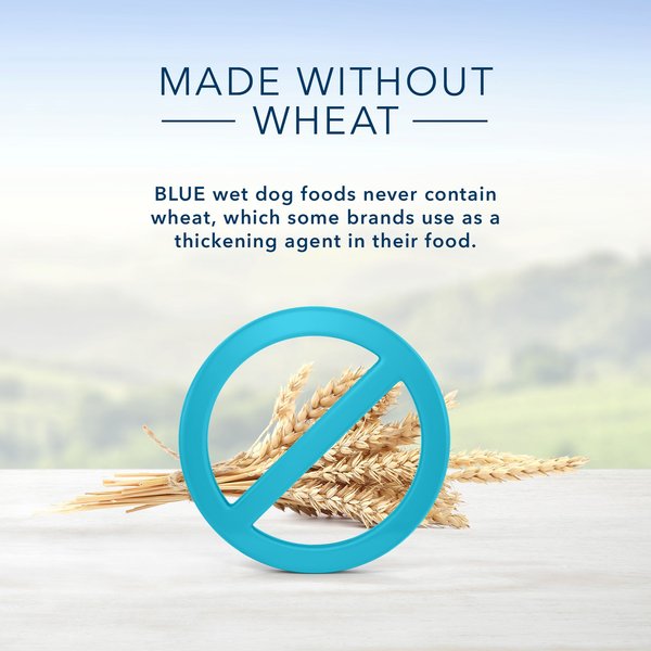 Show full view: Blue Buffalo Homestyle Recipe Adult Natural Fish & Sweet Potato Wet Dog Food, 354-g can, case of 12 slide 4 of 7