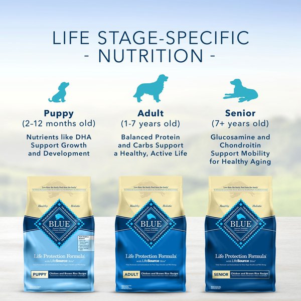 Show full view: Blue Buffalo Life Protection Formula Adult Chicken & Brown Rice Recipe Dry Dog Food, 11.7-kg bag slide 9 of 10