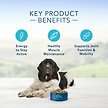 Show in main carousel: Blue Buffalo Life Protection Formula Natural Healthy Weight Large Breed Adult Chicken Dry Dog Food, 11.7-kg bag slide 6 of 9