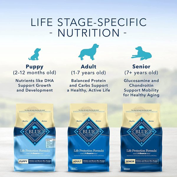 Show full view: Blue Buffalo Life Protection Formula Natural Puppy Chicken Dry Dog Food, 2.7-kg bag slide 9 of 10