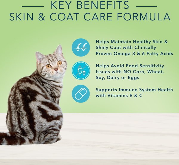 Show full view: Blue Buffalo True Solutions Natural Skin & Coat Care Adult Salmon Dry Cat Food, 6.8-kg bag slide 6 of 8