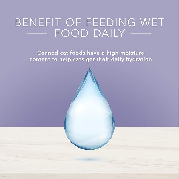 Show full view: Blue Buffalo True Solutions Natural Urinary Care Adult Wet Cat Food, 85-g can, case of 24 slide 5 of 7