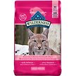 Show in main carousel: Blue Buffalo Wilderness Salmon Grain-Free Adult Dry Cat Food, 4.9-kg bag slide 1 of 9