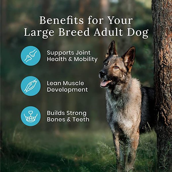 Show full view: Blue Buffalo Wilderness More Meat & Wholesome Grains Large Breed Adult Salmon Dry Dog Food, 10.8-kg bag slide 6 of 10