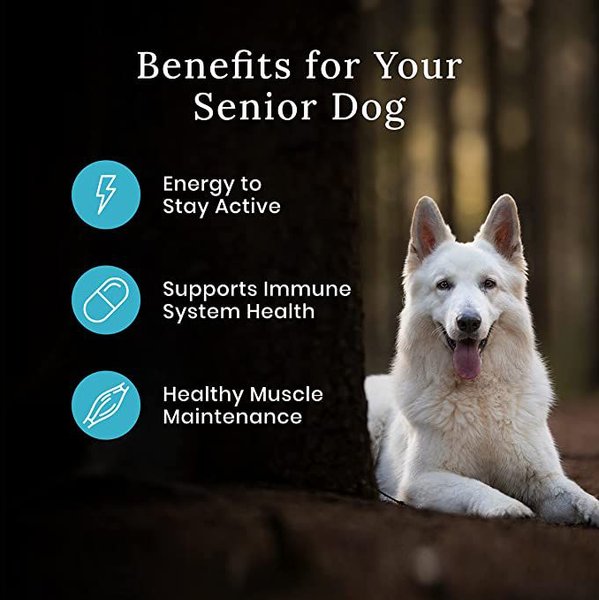 Show full view: Blue Buffalo Wilderness More Meat & Wholesome Grains Senior Chicken Dry Dog Food, 10.8-kg bag slide 6 of 10