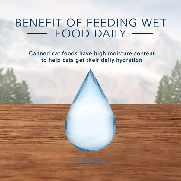 Show full view: Blue Buffalo Wilderness Wild Delights Natural Chicken & Turkey Minced Adult Wet Cat Food, 5.5-oz can, case of 24 slide 4 of 7