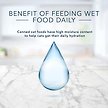 Show in main carousel: Blue Buffalo Tastefuls Natural Chicken Entree in Gravy Morsels Adult Wet Cat Food, 155-g can, case of 24 slide 5 of 8