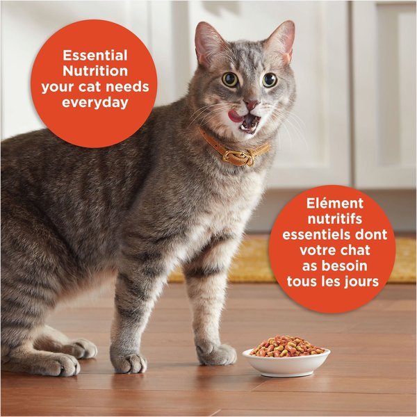 Show full view: Meow Mix Tender Centers Salmon & Chicken Flavours Dry Cat Food, 1.36-kg bag slide 4 of 9