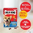 Show in main carousel: Milk-Bone Flavour Snacks Assorted Meat Flavours Mini's Crunchy Biscuit Dog Treats, 850-g box slide 2 of 9