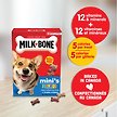 Show in main carousel: Milk-Bone Flavour Snacks Assorted Meat Flavours Mini's Crunchy Biscuit Dog Treats, 475-g box slide 2 of 9