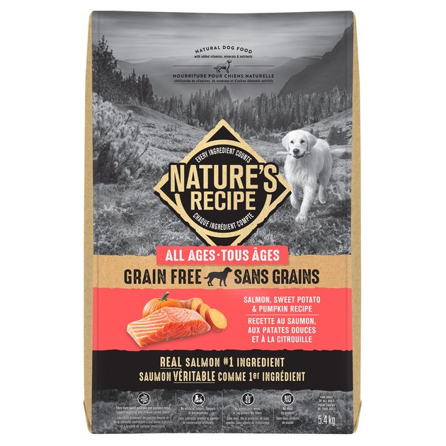 Nature's recipe grain free salmon dog food review hotsell