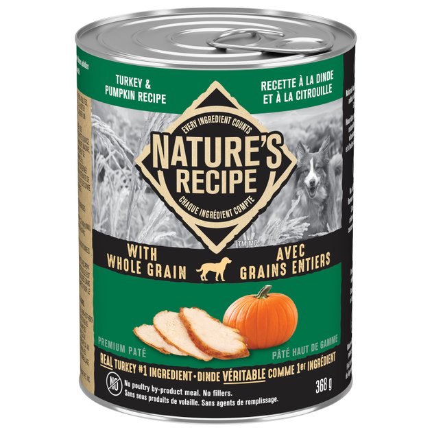 Wet dog outlet food with pumpkin