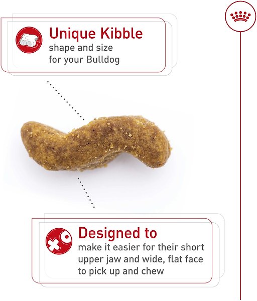 Show full view: Royal Canin Breed Health Nutrition Bulldog Adult Dry Dog Food, 13.62-kg bag slide 3 of 9