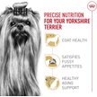 Show in main carousel: Royal Canin Breed Health Nutrition Yorkshire Terrier Adult Dry Dog Food, 4.54-kg bag slide 2 of 9