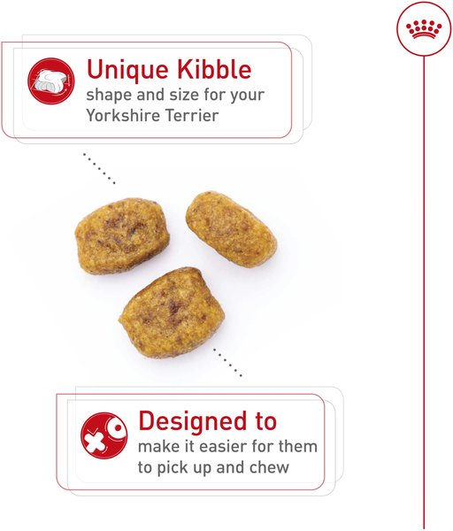 Show full view: Royal Canin Breed Health Nutrition Yorkshire Terrier Adult Dry Dog Food, 4.54-kg bag slide 3 of 9