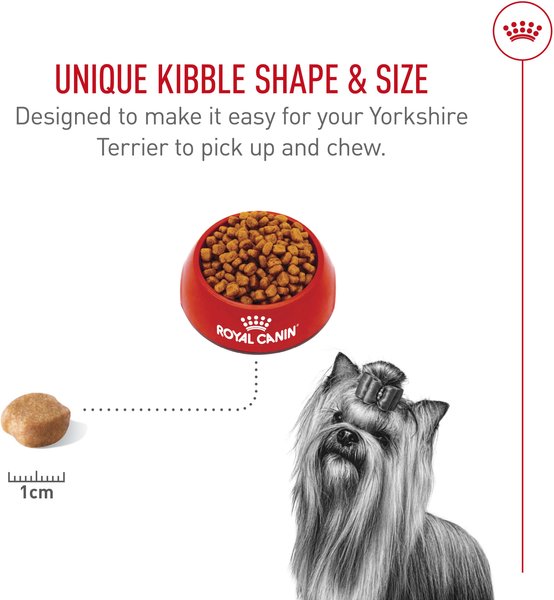 Show full view: Royal Canin Breed Health Nutrition Yorkshire Terrier Adult Dry Dog Food, 4.54-kg bag slide 4 of 9