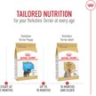 Show in main carousel: Royal Canin Breed Health Nutrition Yorkshire Terrier Adult Dry Dog Food, 4.54-kg bag slide 7 of 9