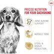 Show in main carousel: Royal Canin Breed Health Nutrition Dachshund Adult Dry Dog Food, 1.135-kg bag slide 2 of 9