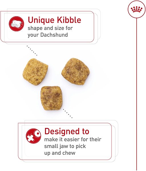 Show full view: Royal Canin Breed Health Nutrition Dachshund Adult Dry Dog Food, 1.135-kg bag slide 3 of 9