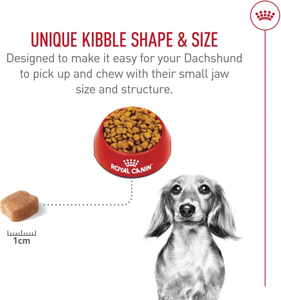 Show full view: Royal Canin Breed Health Nutrition Dachshund Adult Dry Dog Food, 1.135-kg bag slide 4 of 9
