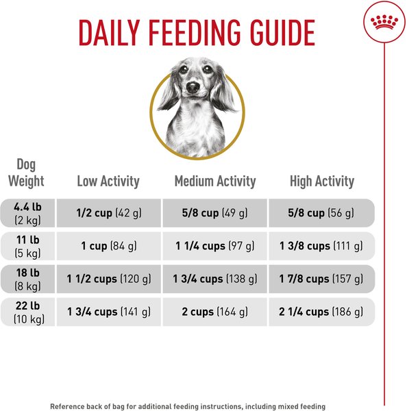 Show full view: Royal Canin Breed Health Nutrition Dachshund Adult Dry Dog Food, 1.135-kg bag slide 6 of 9