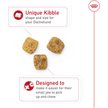 Show in main carousel: Royal Canin Breed Health Nutrition Dachshund Adult Dry Dog Food, 4.54-kg bag slide 3 of 9
