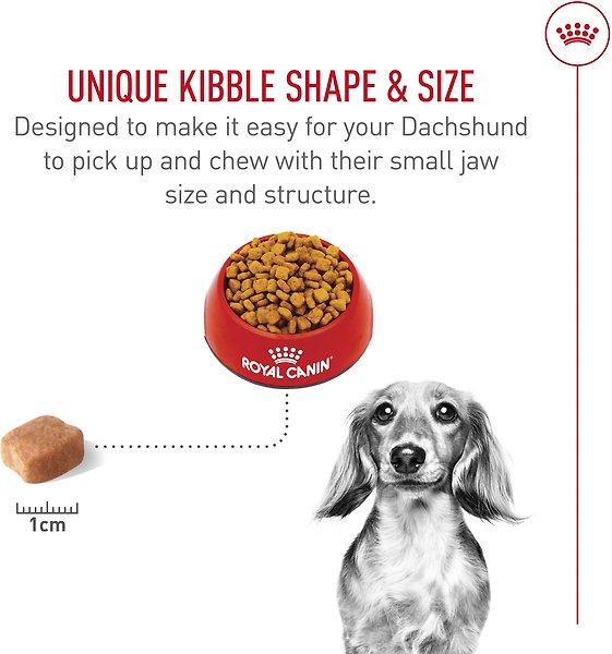 Show full view: Royal Canin Breed Health Nutrition Dachshund Adult Dry Dog Food, 4.54-kg bag slide 4 of 9
