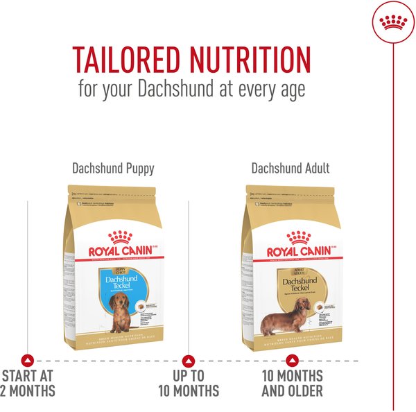 Show full view: Royal Canin Breed Health Nutrition Dachshund Adult Dry Dog Food, 4.54-kg bag slide 7 of 9