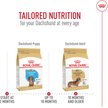 Show in main carousel: Royal Canin Breed Health Nutrition Dachshund Adult Dry Dog Food, 4.54-kg bag slide 7 of 9