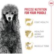 Show in main carousel: Royal Canin Breed Health Nutrition Poodle Adult Dry Dog Food, 1.135-kg bag slide 2 of 9